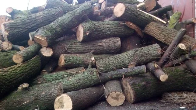 Дрова твердих порід рубані метровий кругляк купити Рожище - фото № 1