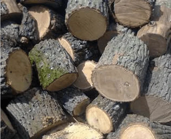 Продажа дров в Рожище | Рубленые дрова | Метровый кругляк - фото № 1