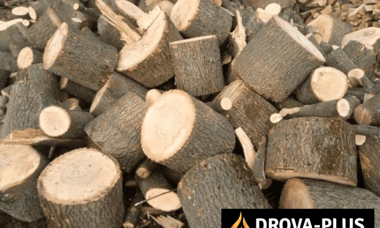 Продаются дрова метровые для отопления в Рожище - фото № 1