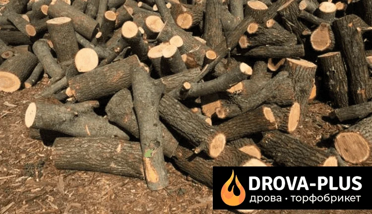 Продажа дров в Киверцах – ясен, дуб, граб и другие породы - фото № 1