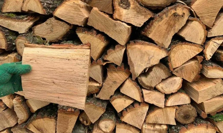 ДРОВА. Чистий дуб, колотий, сухий. БЕЗ ПЕРЕДПЛАТ. ОПТ для організацій - фото № 1