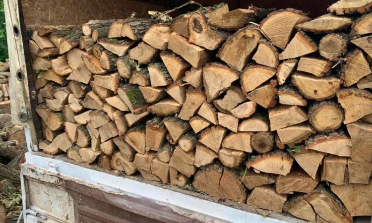 ДРОВА. Чистий дуб, колотий, сухий. БЕЗ ПЕРЕДПЛАТ. ОПТ для організацій - фото № 2