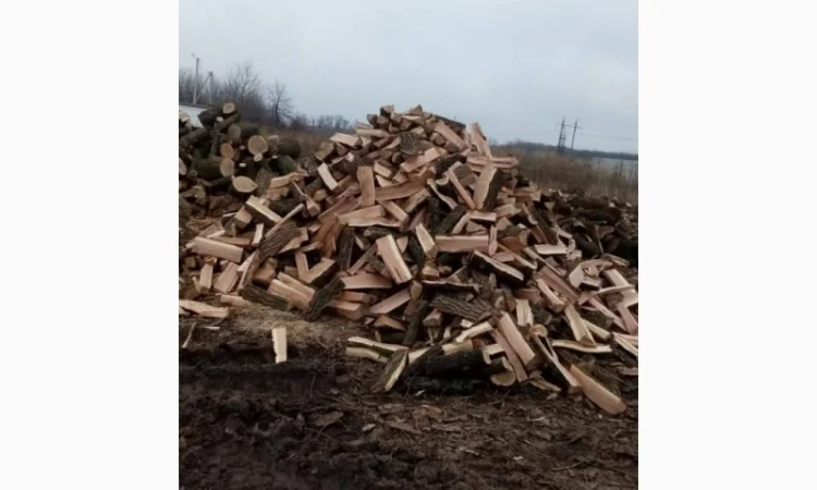 Дрова рубані, дуб, акація, суміш твердих порід - фото № 2