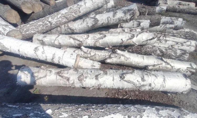 Продам дрова - фото № 1