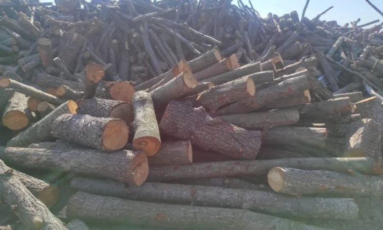 Продам дрова - фото № 2