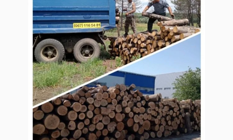 Дрова сухие колотые, метровка, уголь Одесса - фото № 1