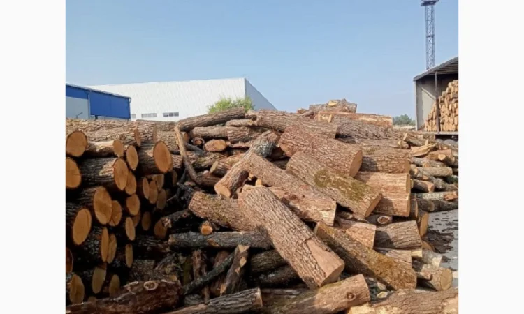 Купить брикеты топливные (евродрова) в Одессе - фото № 1