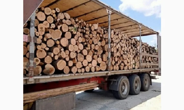 Купить брикеты топливные (евродрова) в Одессе - фото № 3