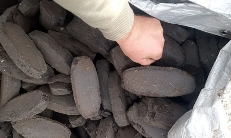 Продам березовые, сосновые дрова метровки - фото № 3