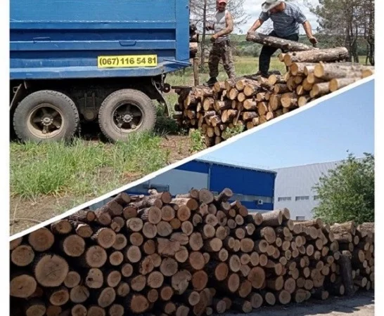 Продам дрова дуб, береза, фруктовые. Доставка - фото № 1