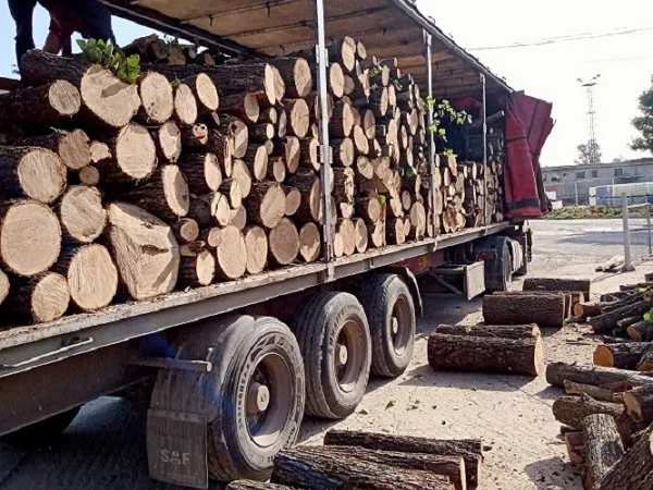 Продам дрова дубовые - фото № 1