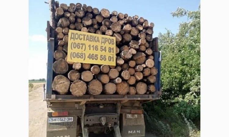 Продам дрова дубовые - фото № 3