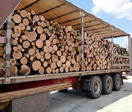 Колотые дрова с доставкой по Одессе и области - фото № 1