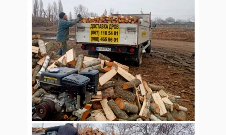 Продам дрова дуба Одесса и область - фото № 1
