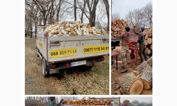 Продам дрова дуба Одесса и область - фото № 2