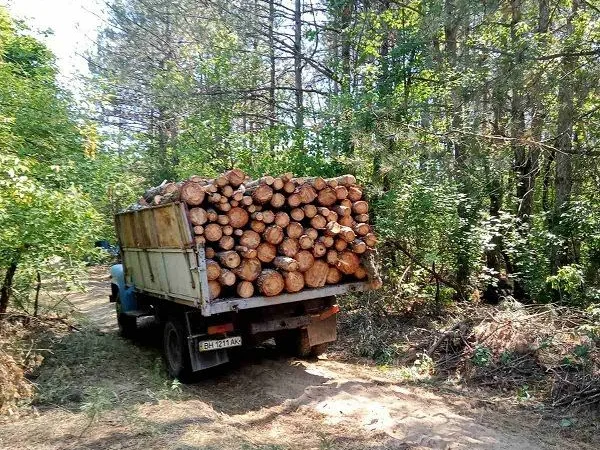 Продам дрова Одесса - фото № 2