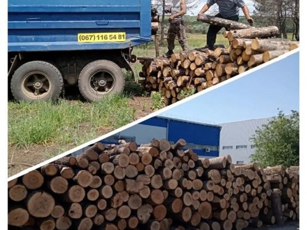 Продам дрова твердых пород, уголь Одесса - фото № 1
