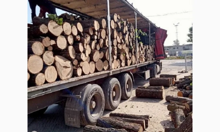 Продам дрова твердых пород, уголь Одесса - фото № 2