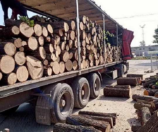 Продажа дров и угля с доставкой - фото № 1