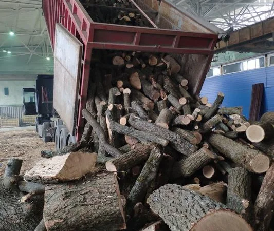 Продам дрова колені твердих порід, є Сухі (дуб, бук, граб) - фото № 2