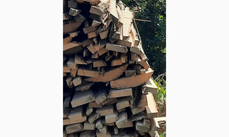 Дрова, обзол, обапол, обрезки - фото № 3