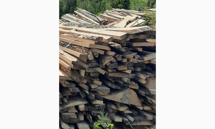 Дрова, обзол, обапол, обрезки - фото № 4