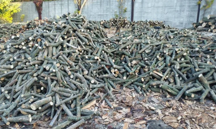 Дрова Умань. Опт та роздріб - фото № 1