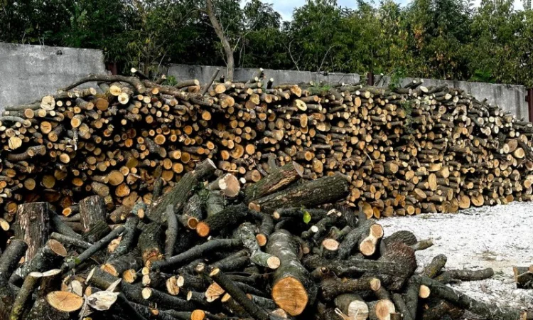 Дрова Умань. Опт та роздріб - фото № 2