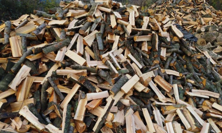 Дрова Умань. Опт та роздріб - фото № 4