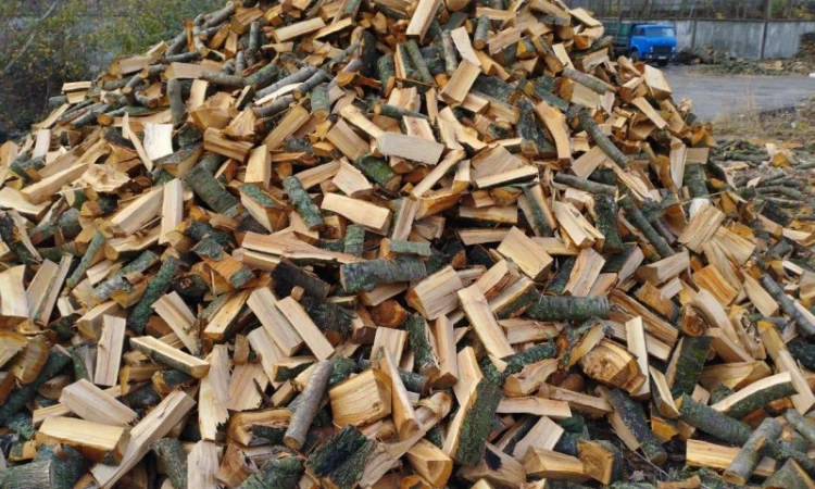 Дрова Умань. Опт та роздріб - фото № 5