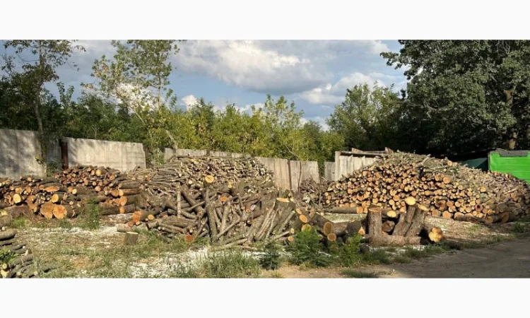 Дрова Умань. Опт та роздріб - фото № 6