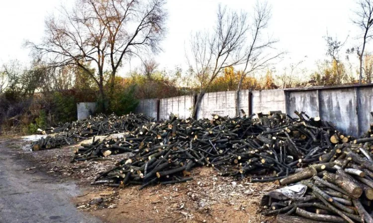 Дрова Умань. Опт та роздріб - фото № 7