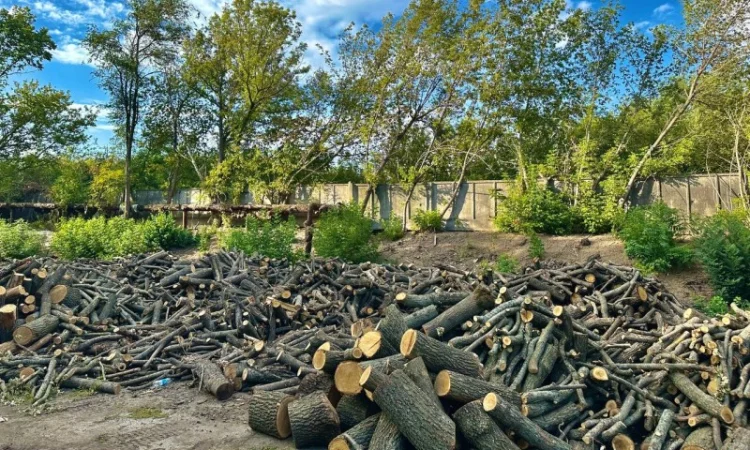 Дрова Умань. Опт та роздріб - фото № 8