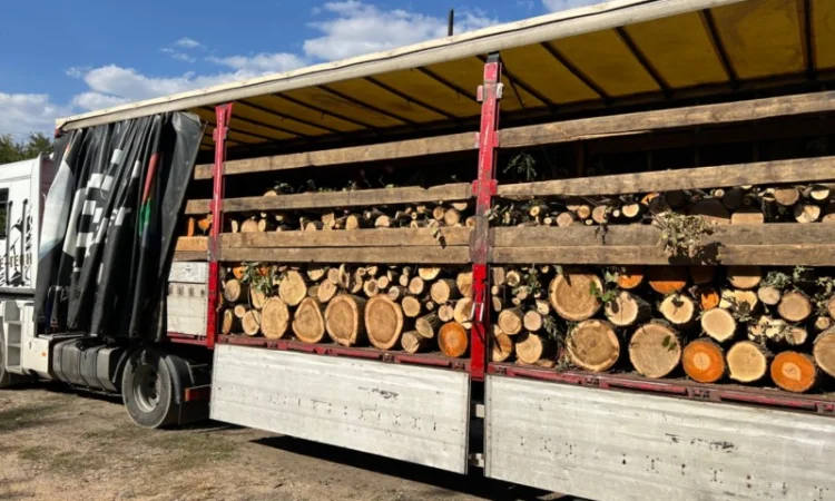 Продам дрова колотые твёрдых пород - фото № 3