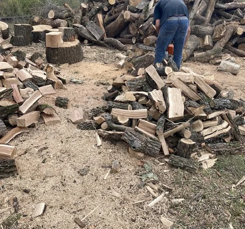 Продам дрова дуб ясен береза - фото № 1