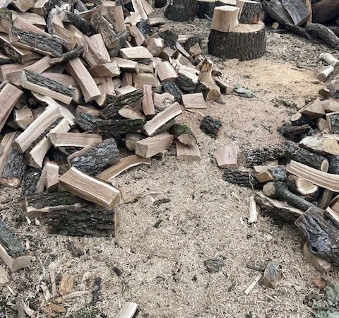 Продам дрова дуб ясен береза - фото № 2