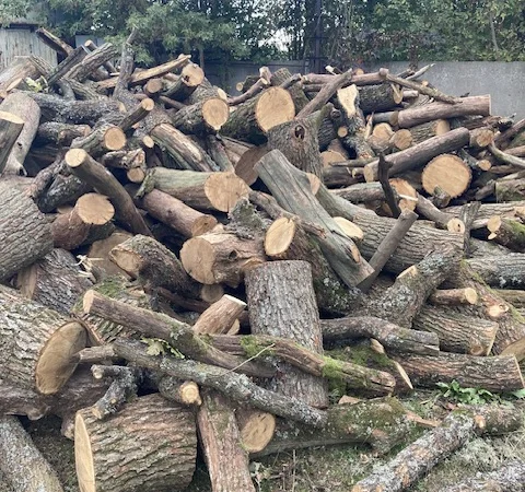 Продам дрова дуб ясен береза - фото № 3