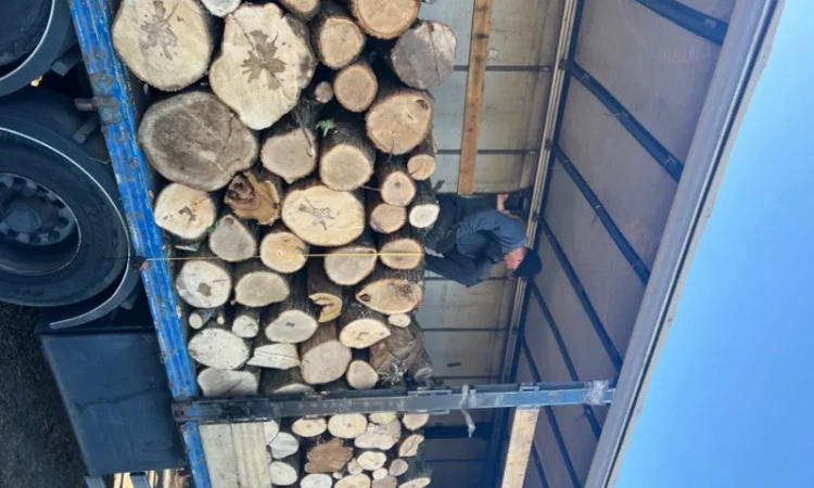 Дрова колоті твердих порід - фото № 1