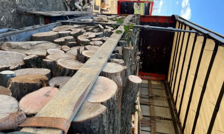 Дрова колоті твердих порід - фото № 2