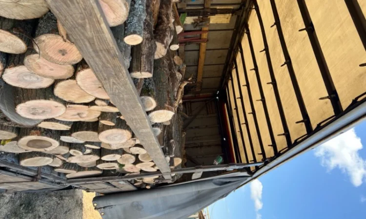 Дрова колоті твердих порід - фото № 3