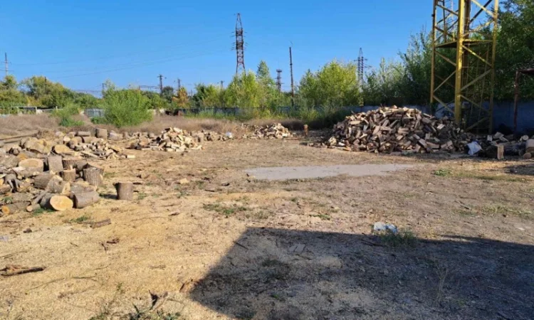 Дрова колоті твердих порід - фото № 5