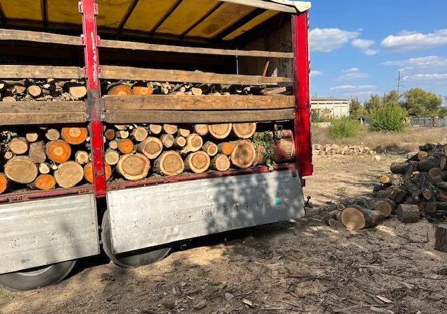 Дрова оптом в Дніпрі твердих порід - фото № 1