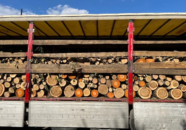 Дрова оптом в Дніпрі твердих порід - фото № 2