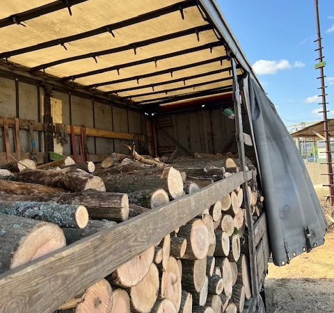 Дрова оптом в Дніпрі твердих порід - фото № 3