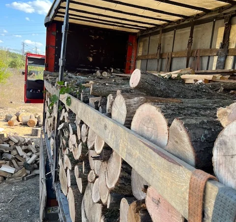 Дрова оптом в Дніпрі твердих порід - фото № 4