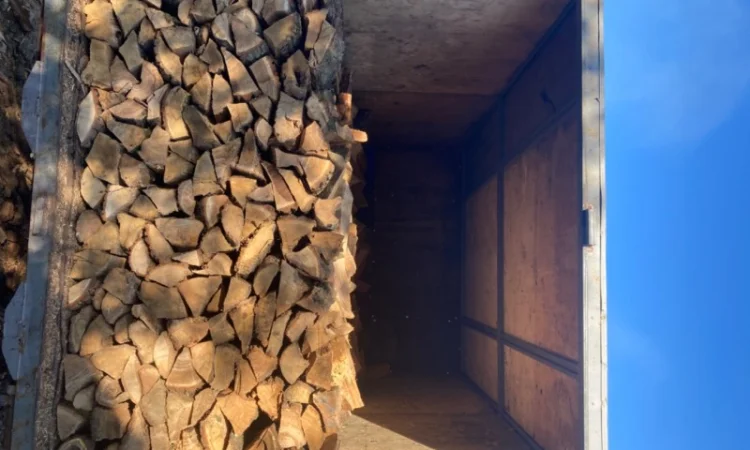 Продам колоті дрова - фото № 2