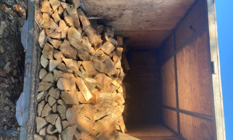 Продам колоті дрова - фото № 3