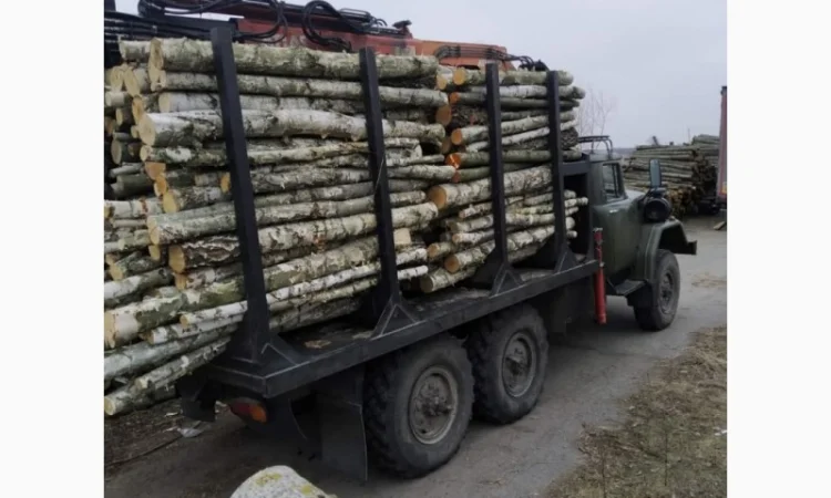 Дрова. Береза.Ольха.Дуб Опт Житомирская обл - фото № 1