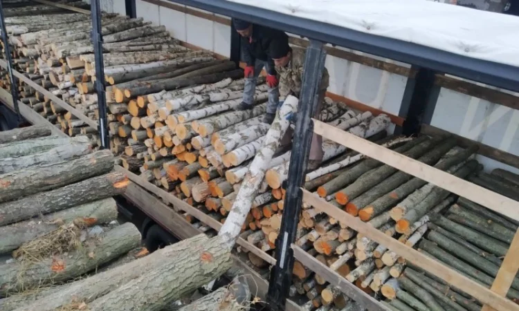 Дрова. Береза.Ольха.Дуб Опт Житомирская обл - фото № 2