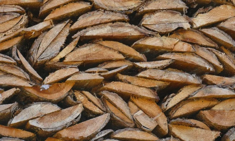 Продаємо колоті та обзелені дрова для економного та ефективного опалення - фото № 2